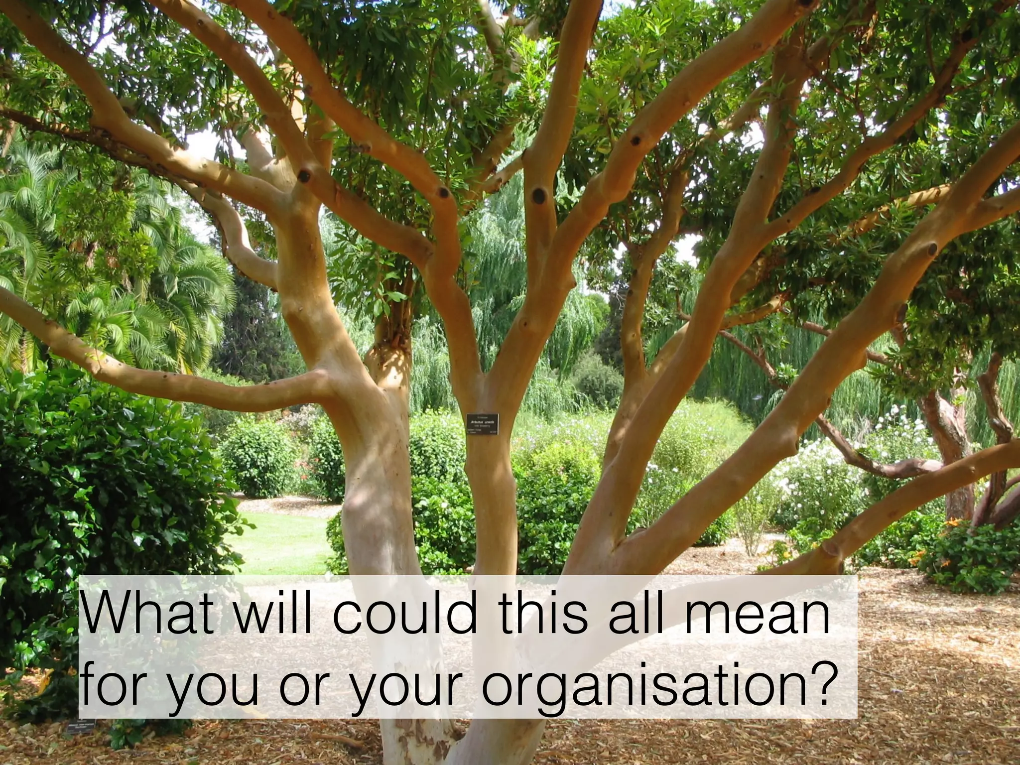 What will could this all mean 
for you or your organisation? 
