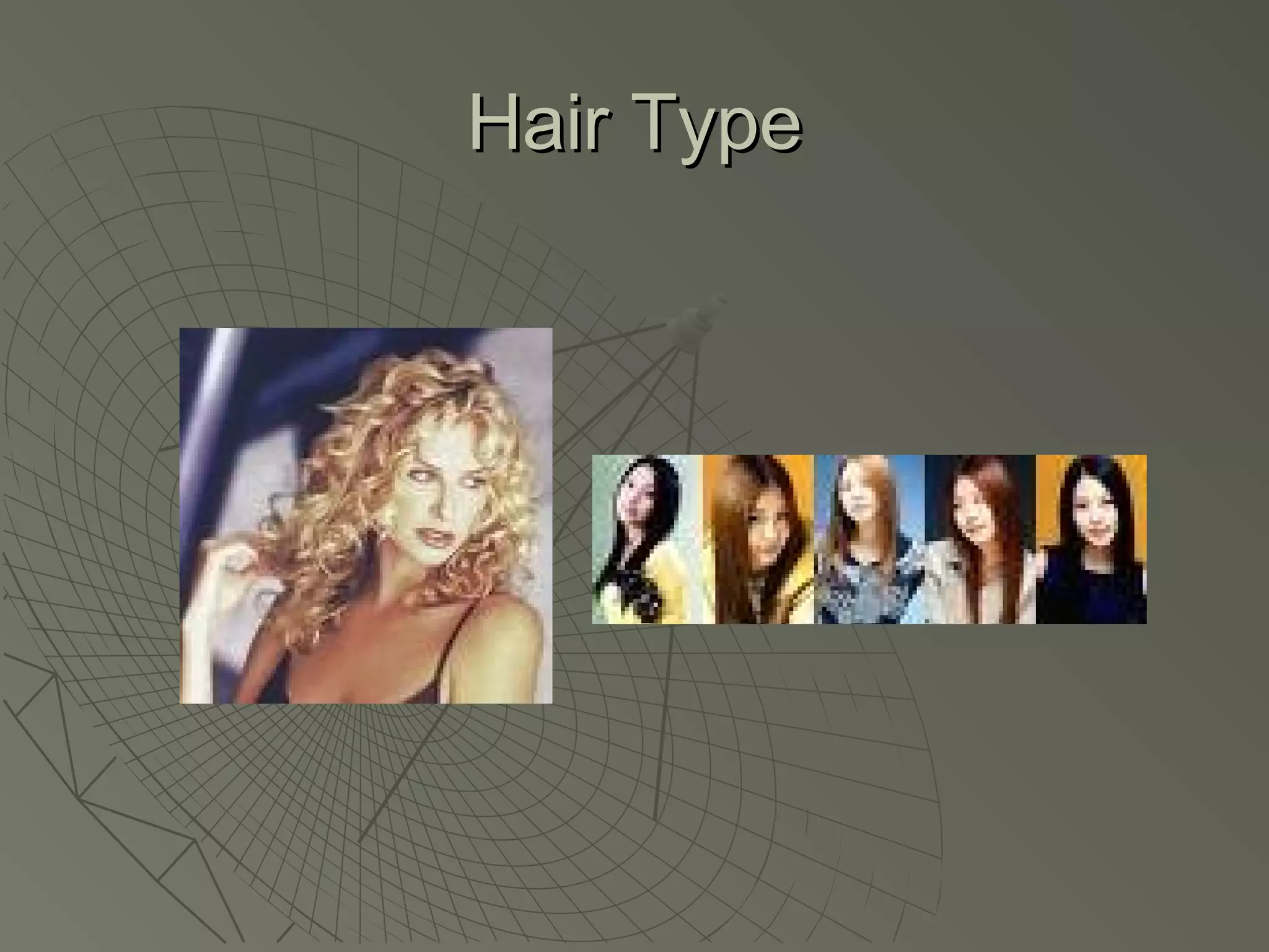 Hair Type
 
