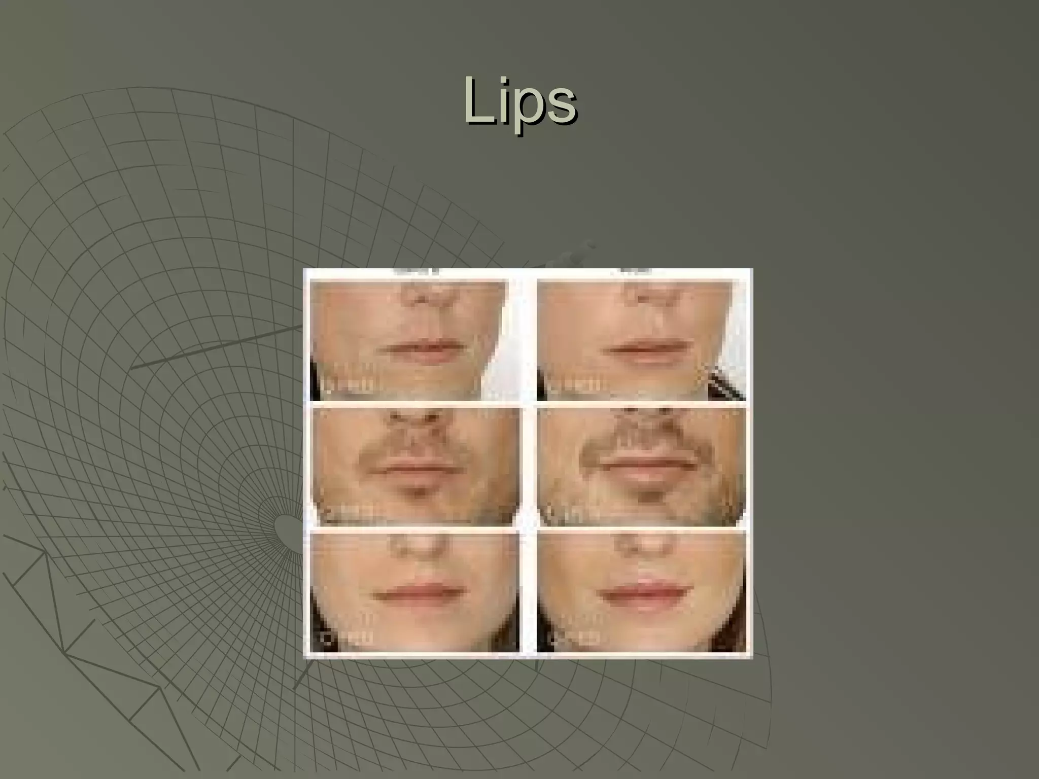 Lips
 