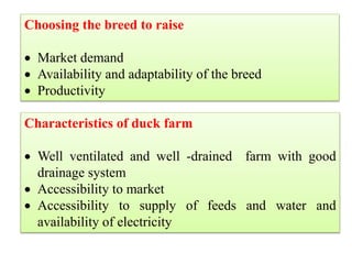 Characteristics of duck farm
 Well ventilated and well -drained farm with good
drainage system
 Accessibility to market
 Accessibility to supply of feeds and water and
availability of electricity
Choosing the breed to raise
 Market demand
 Availability and adaptability of the breed
 Productivity
 