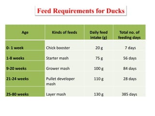 Feed Requirements for Ducks
Age Kinds of feeds Daily feed
intake (g)
Total no. of
feeding days
0- 1 week Chick booster 20 g 7 days
1-8 weeks Starter mash 75 g 56 days
9-20 weeks Grower mash 100 g 84 days
21-24 weeks Pullet developer
mash
110 g 28 days
25-80 weeks Layer mash 130 g 385 days
 