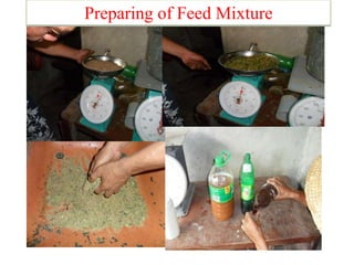Preparing of Feed Mixture
 