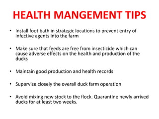 HEALTH MANGEMENT TIPS
• Install foot bath in strategic locations to prevent entry of
infective agents into the farm
• Make sure that feeds are free from insecticide which can
cause adverse effects on the health and production of the
ducks
• Maintain good production and health records
• Supervise closely the overall duck farm operation
• Avoid mixing new stock to the flock. Quarantine newly arrived
ducks for at least two weeks.
 