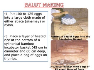•4. Put 100 to 125 eggs
into a large cloth made of
either abaca (sinamay) or
nylon.
•5. Place a layer of heated
rice at the bottom of a
cylindrical bamboo
incubator basket (45 cm in
diameter and 60 cm deep,
and place a bag of eggs on
the rice.
Incubator Basket with Bags of
Putting a Bag of Eggs into the
Incubator Basket
 