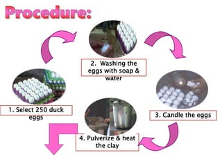 1. Select 250 duck
eggs 3. Candle the eggs
2. Washing the
eggs with soap &
water
4. Pulverize & heat
the clay
 