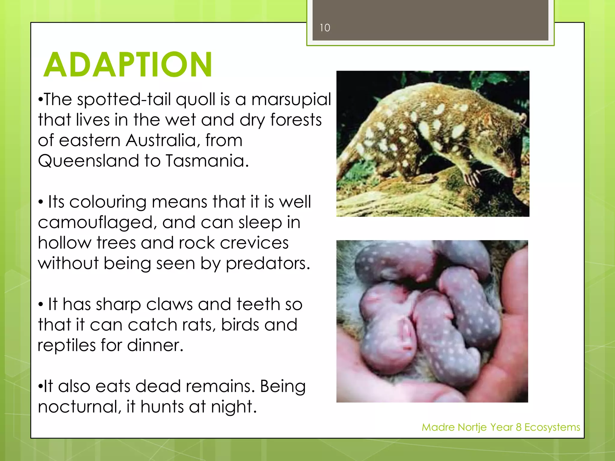 (BIOTIC FACTORS) include partners for mating, organisms for food, and organisms they may compete with for food and shelter.Madre Nortje Year 8 Ecosystems