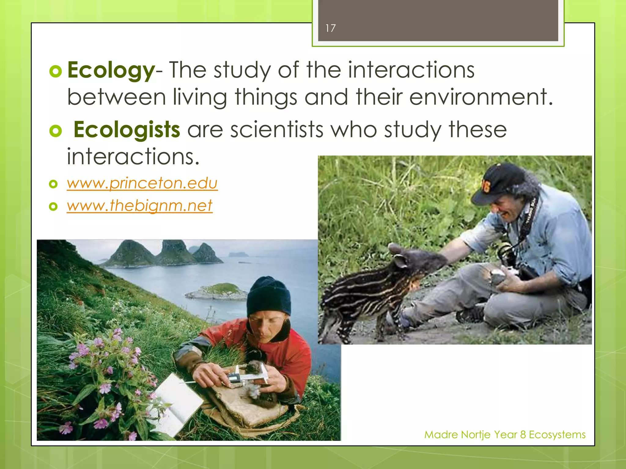 ADAPTIONThe spotted-tail quoll is a marsupialthat lives in the wet and dry forests of eastern Australia, from Queensland to Tasmania. Its colouring means that it is well camouflaged, and can sleep in hollow trees and rock crevices without being seen by predators.