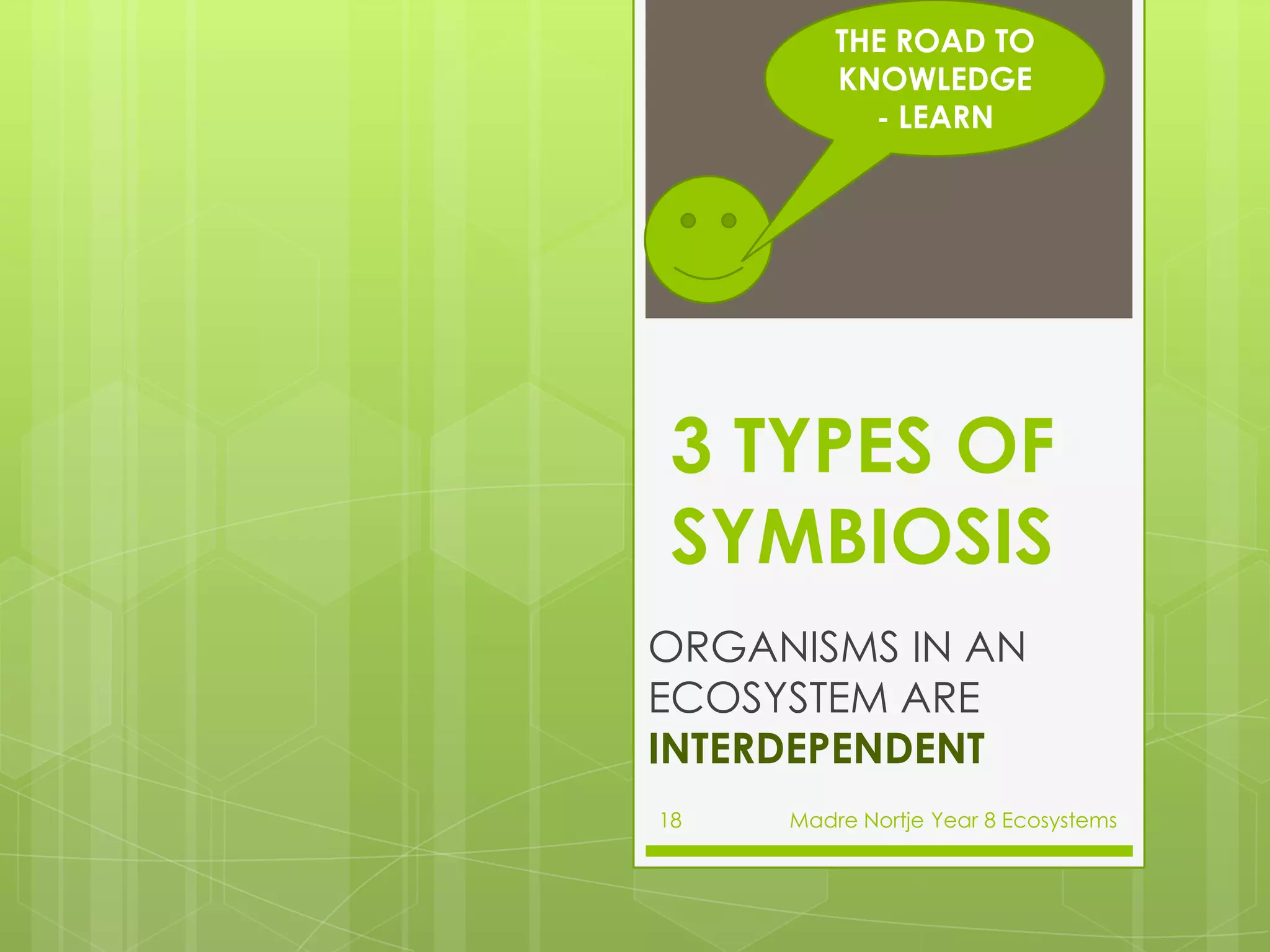  It has sharp claws and teeth so that it can catch rats, birds and reptiles for dinner. 