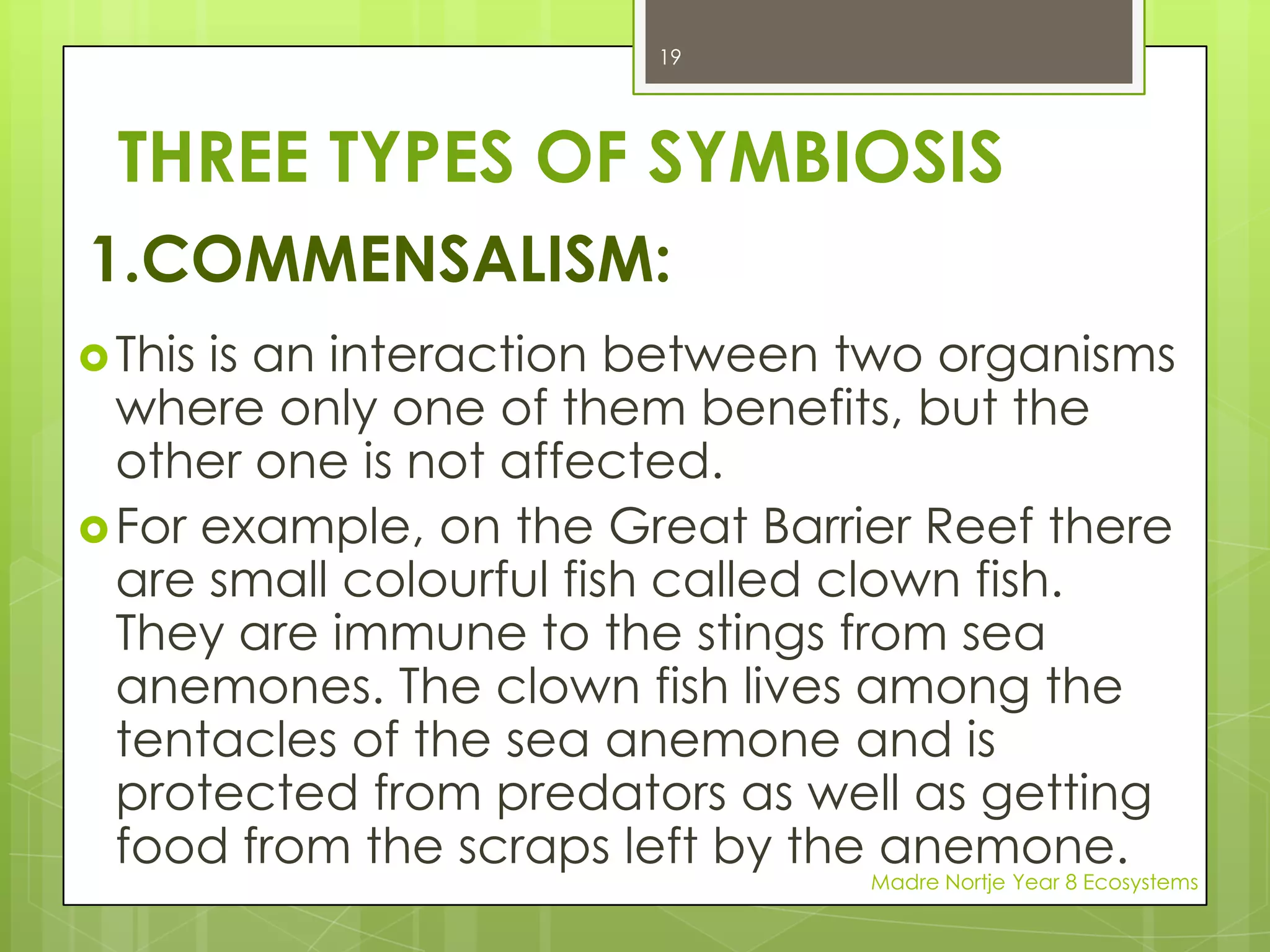 It also eats dead remains. Being nocturnal, it hunts at night.Madre Nortje Year 8 Ecosystems10