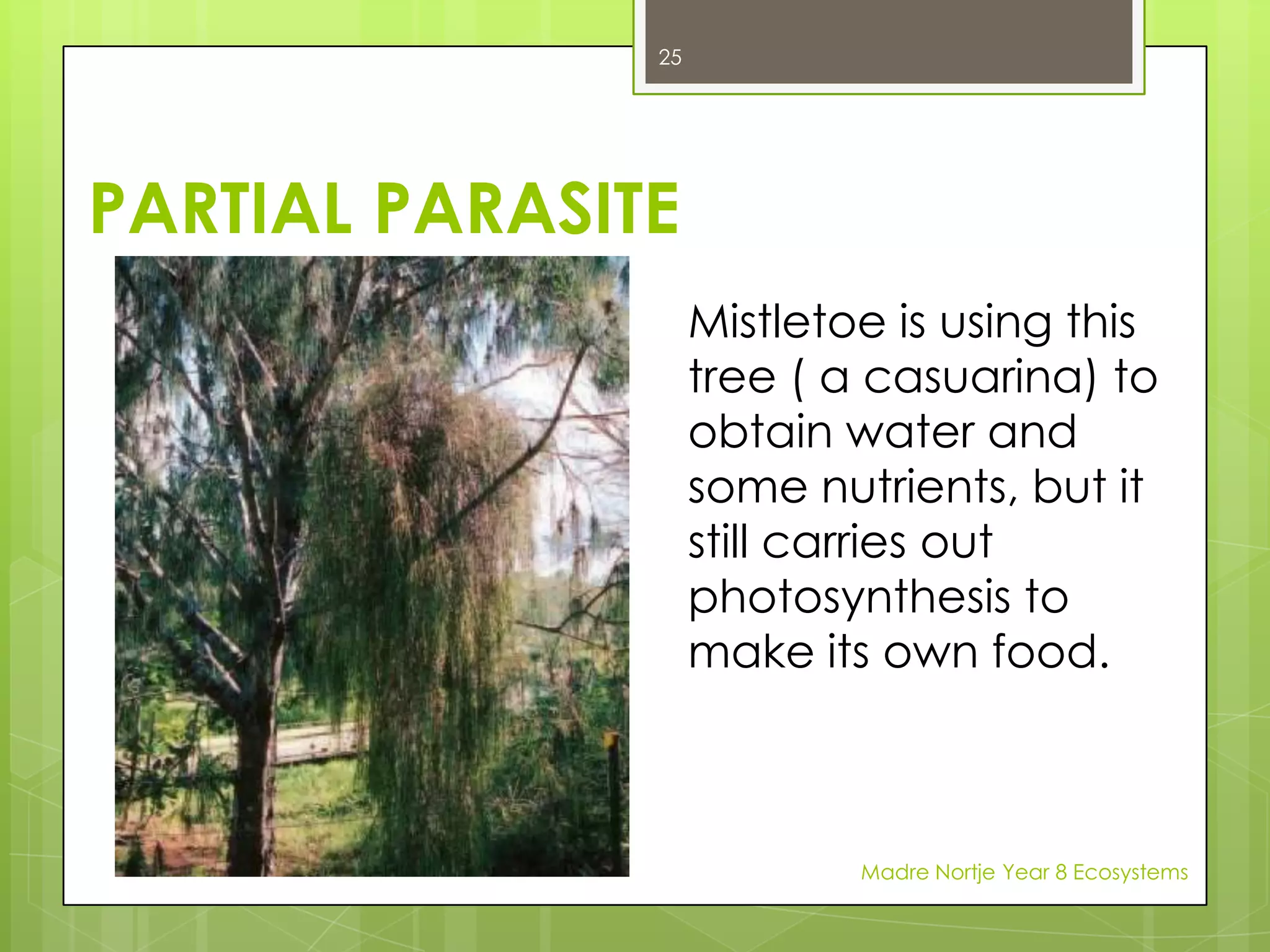 reproduce.Madre Nortje Year 8 Ecosystems11