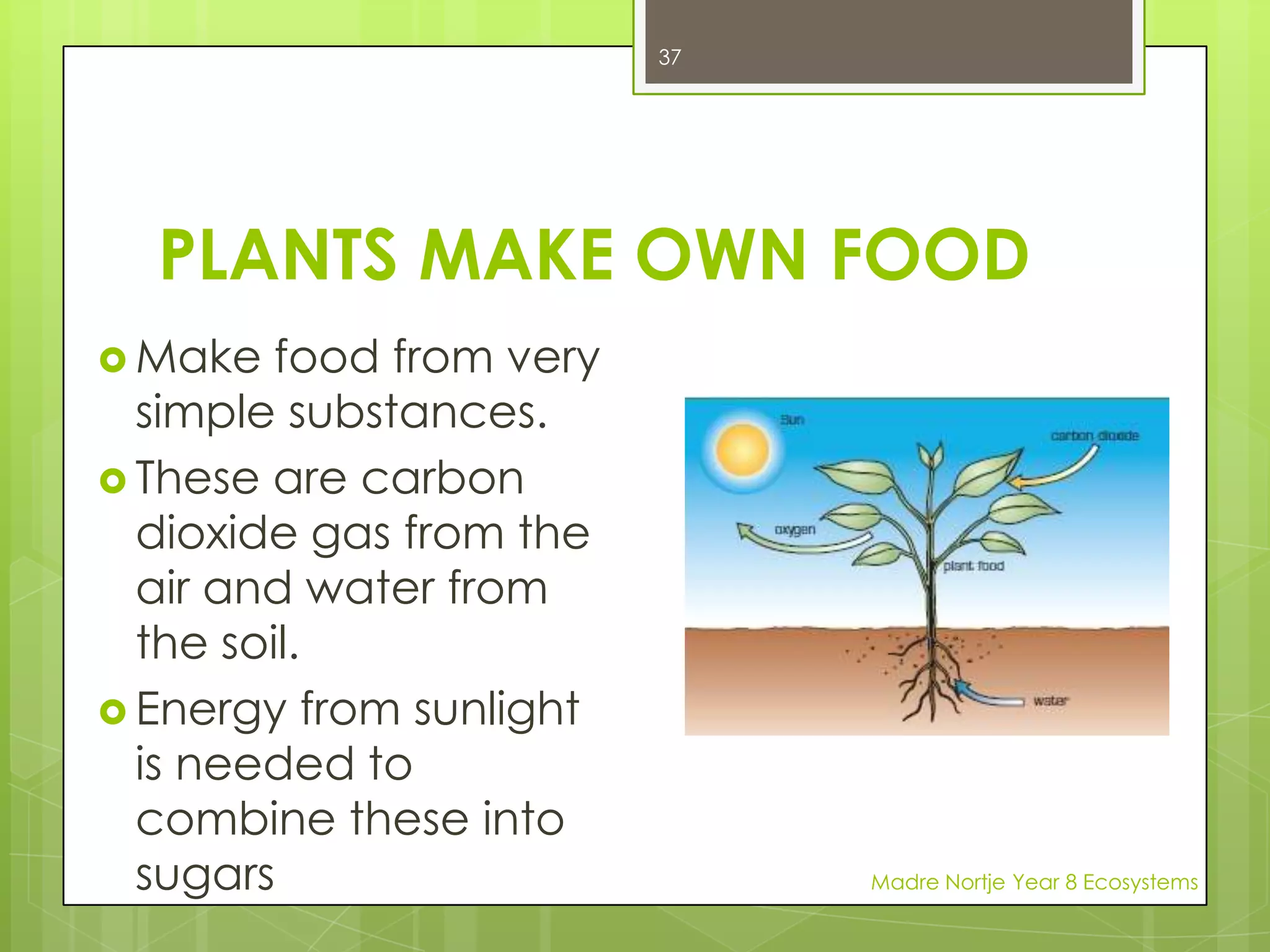 PARASITISMThis is an interaction where one species (the parasite) lives on or in the host (another species of plant or animal). The parasite obtains food and shelter from its host, but often harms or may even kill the host in return. Heartworm is a parasite that lives in the hearts of dogs.They breed rapidly and when present in large numbers can clog up the dog’s heart. The worm uses the dog for shelter and food, but in the end the dog often dies.Madre Nortje Year 8 Ecosystems23