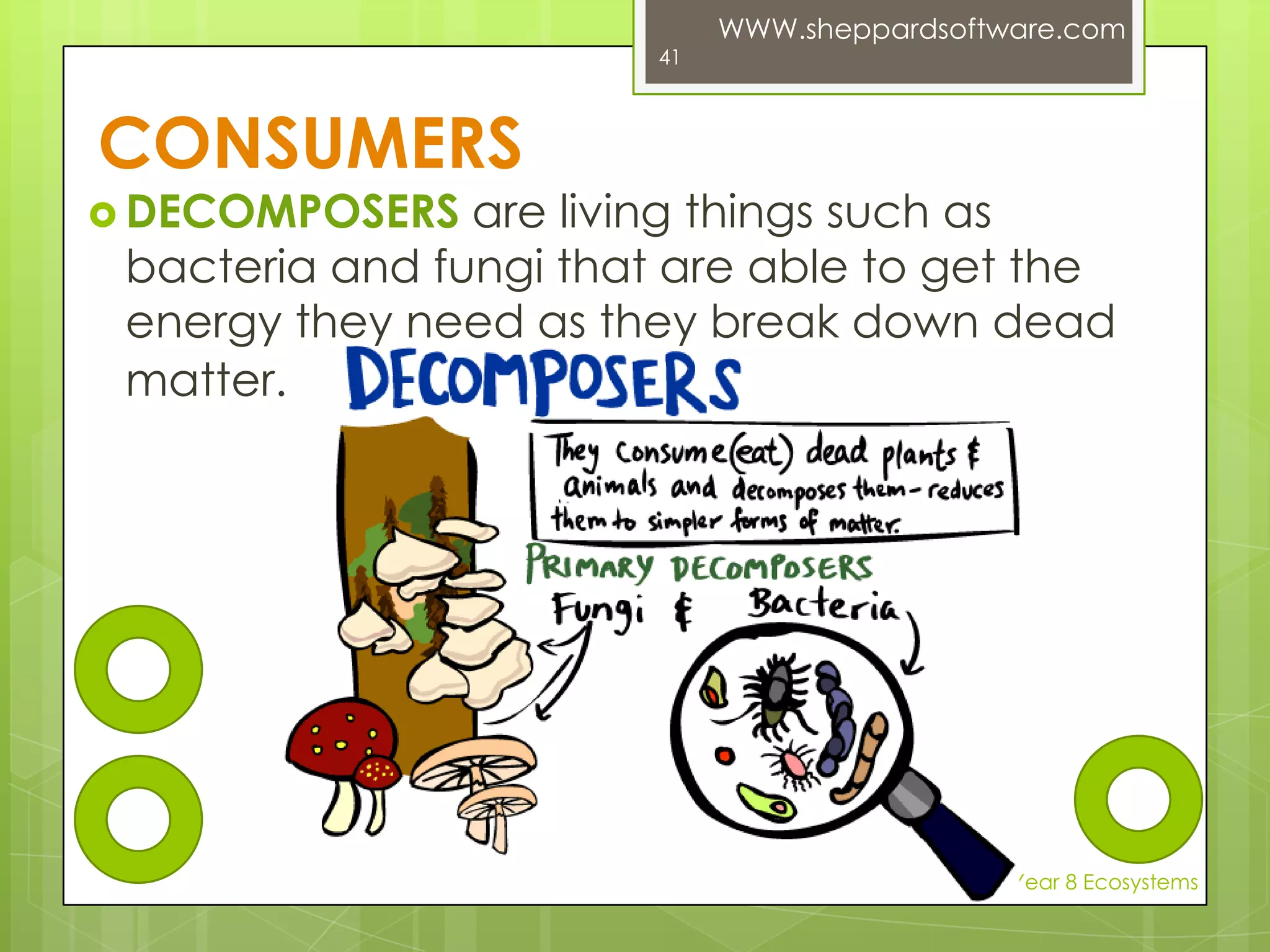 GUESS WHO’S COMING FOR DINNER?Food is one of the most important needs of all living things. For an organism to live in a particular habitat, that habitat must provide adequate food or nutrients.Plants manufacture their own food.Nutrients= substance that help plants or animals to growMadre Nortje Year 8 Ecosystems27