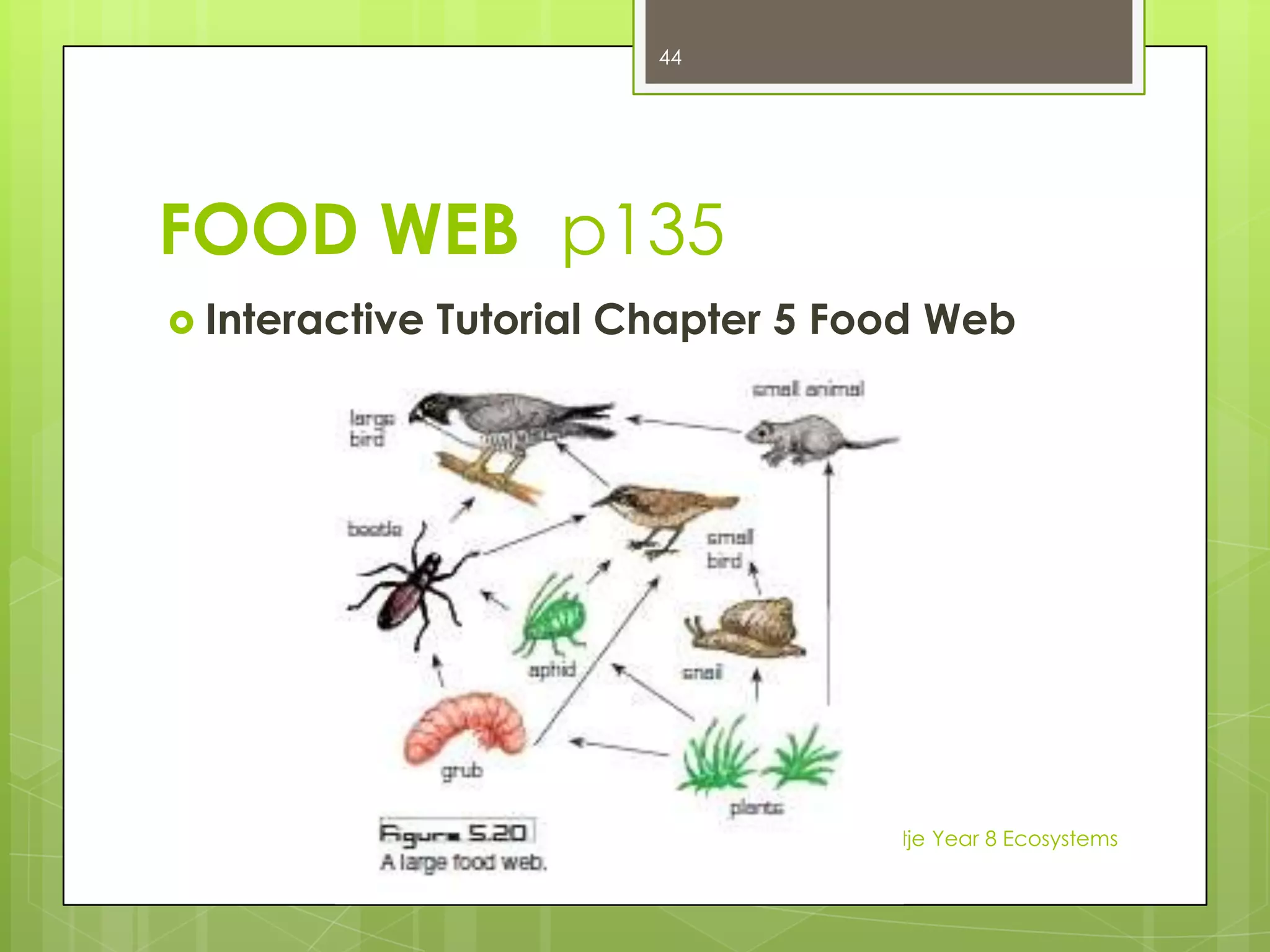 COMPETITORSIf two animals eat the same sort of food and they live in the same habitat, they must compete for their food. Australia Rabbits 1830 www.abc.net.auhttp://www.abc.net.au/btn/story/s2551612.htmWhat do you say & think???Madre Nortje Year 8 Ecosystems30