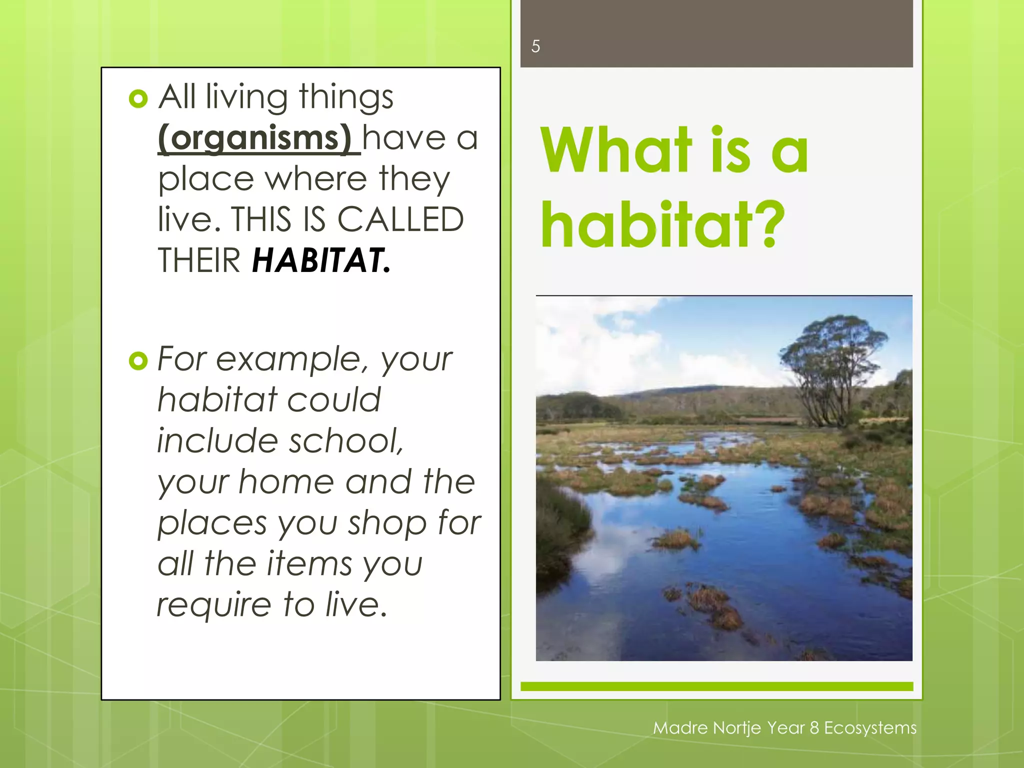 5All living things (organisms) have a place where they live. THIS IS CALLED THEIR HABITAT. For example, your habitat could include school, your home and the places you shop for all the items you require to live. What is a habitat?Madre Nortje Year 8 Ecosystems