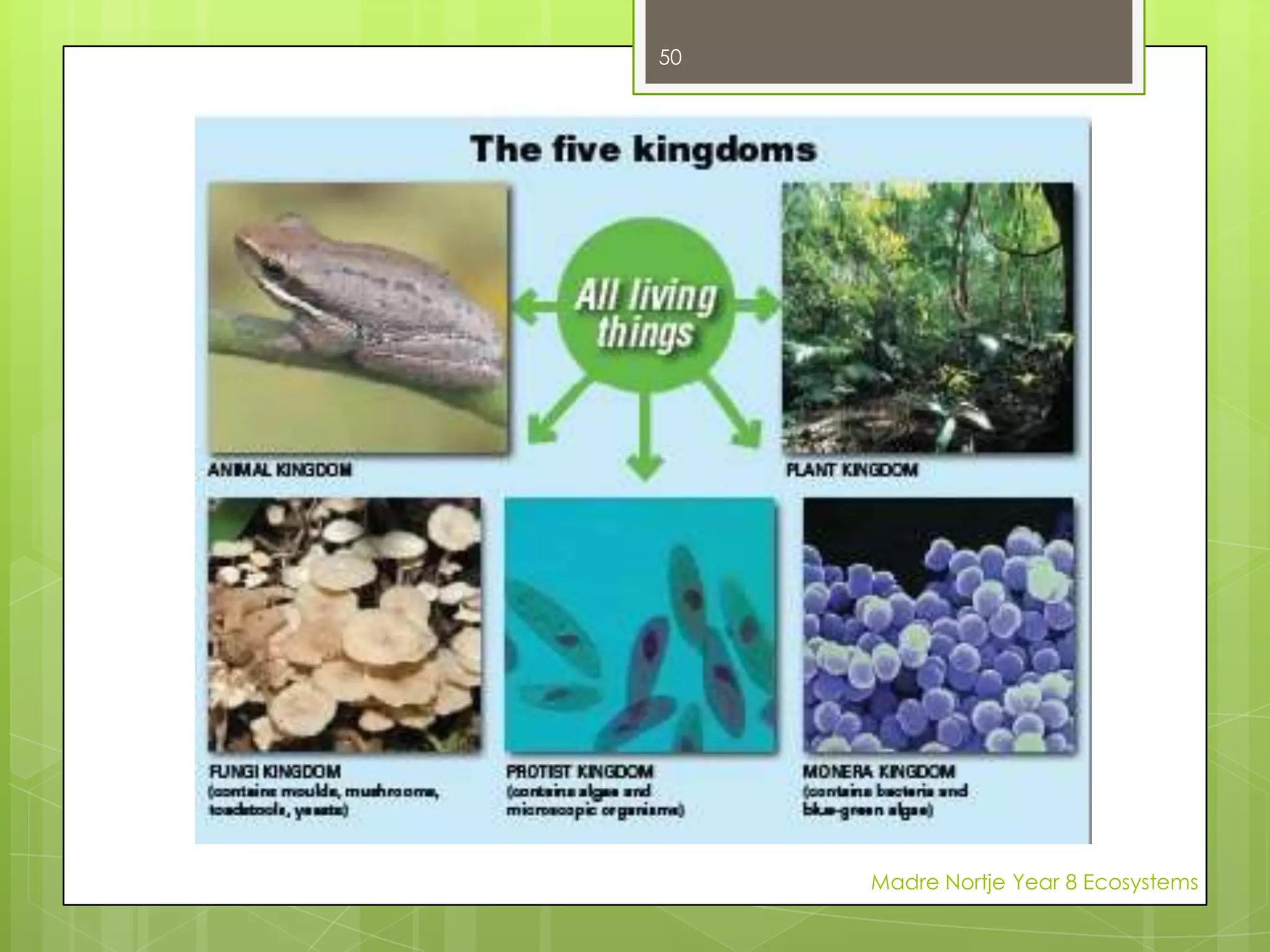 Photosynthesis is often written as a chemical equation like this:carbon dioxide + water  sunlight -> glucose + oxygen                                        chlorophyllBecause plants can produce their own food they are called producers.Madre Nortje Year 8 Ecosystems36