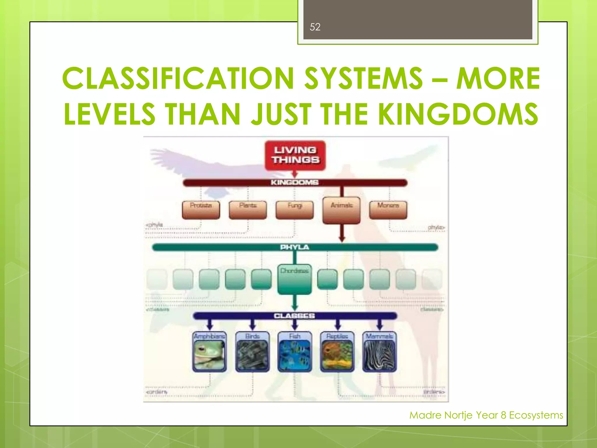 CONSUMERS:HERBIVORESAnimals are unable to make their own food and must consume (eat) plants or other animals to obtain food.Cows that eat only plants are known as HERBIVORES.www.wallpapers-diq.comMadre Nortje Year 8 Ecosystems38