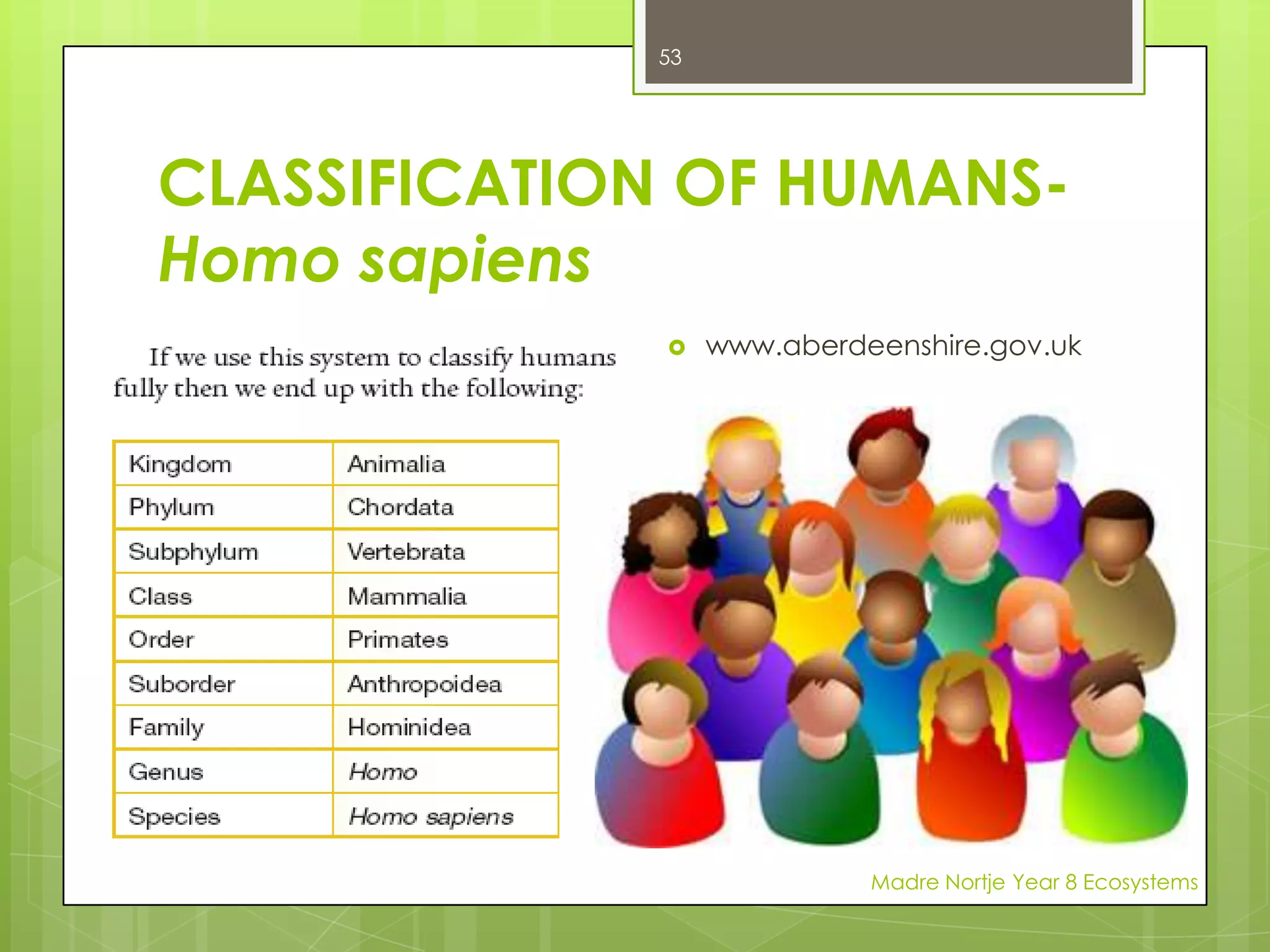 CONSUMERS: CARNIVORESLions that eat only other animals are called CARNIVORES.www.psychology.wikia.comMadre Nortje Year 8 Ecosystems39