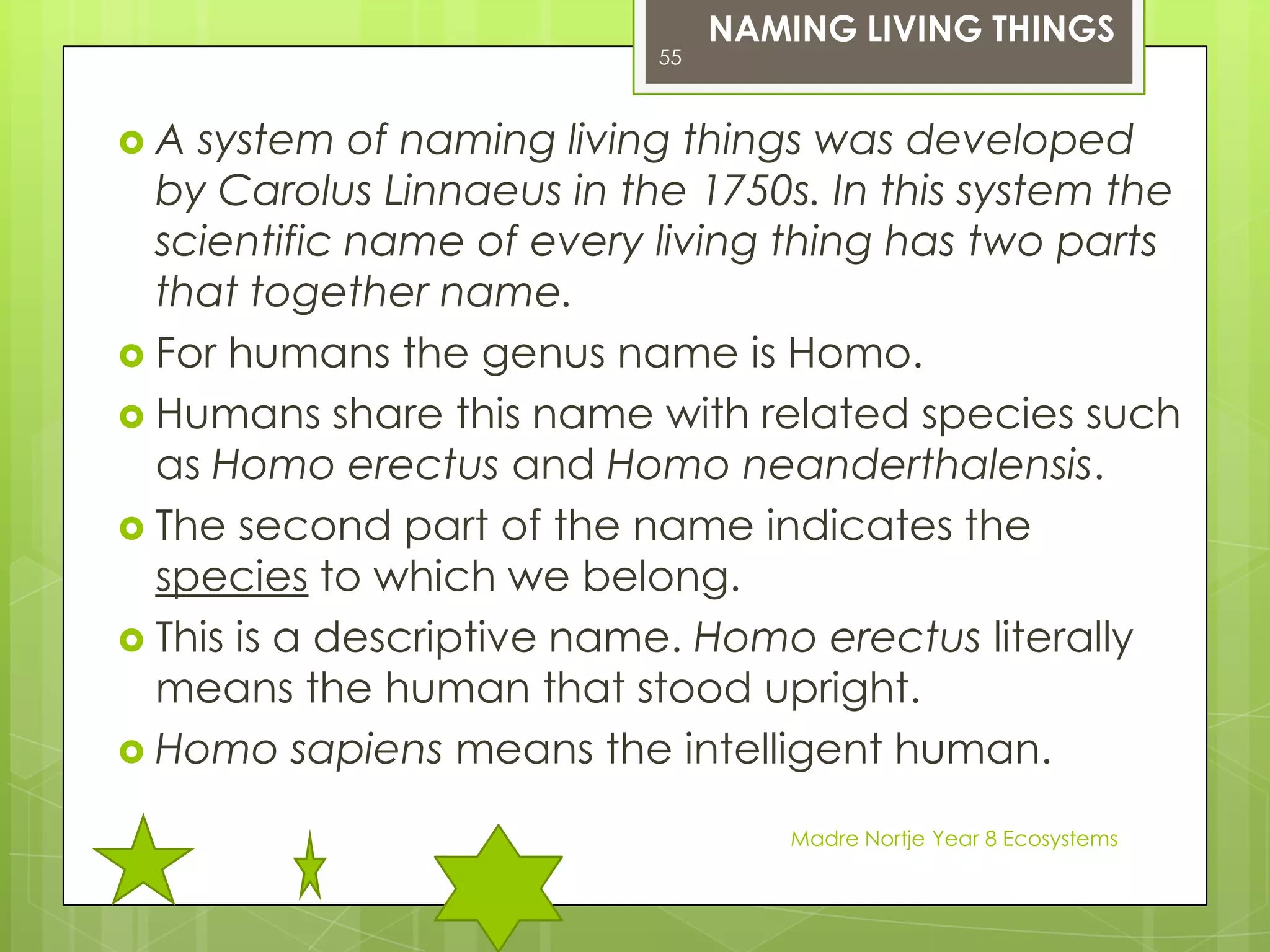 CONSUMERSDECOMPOSERS are living things such as bacteria and fungi that are able to get the energy they need as they break down dead matter.Madre Nortje Year 8 Ecosystems41WWW.sheppardsoftware.com