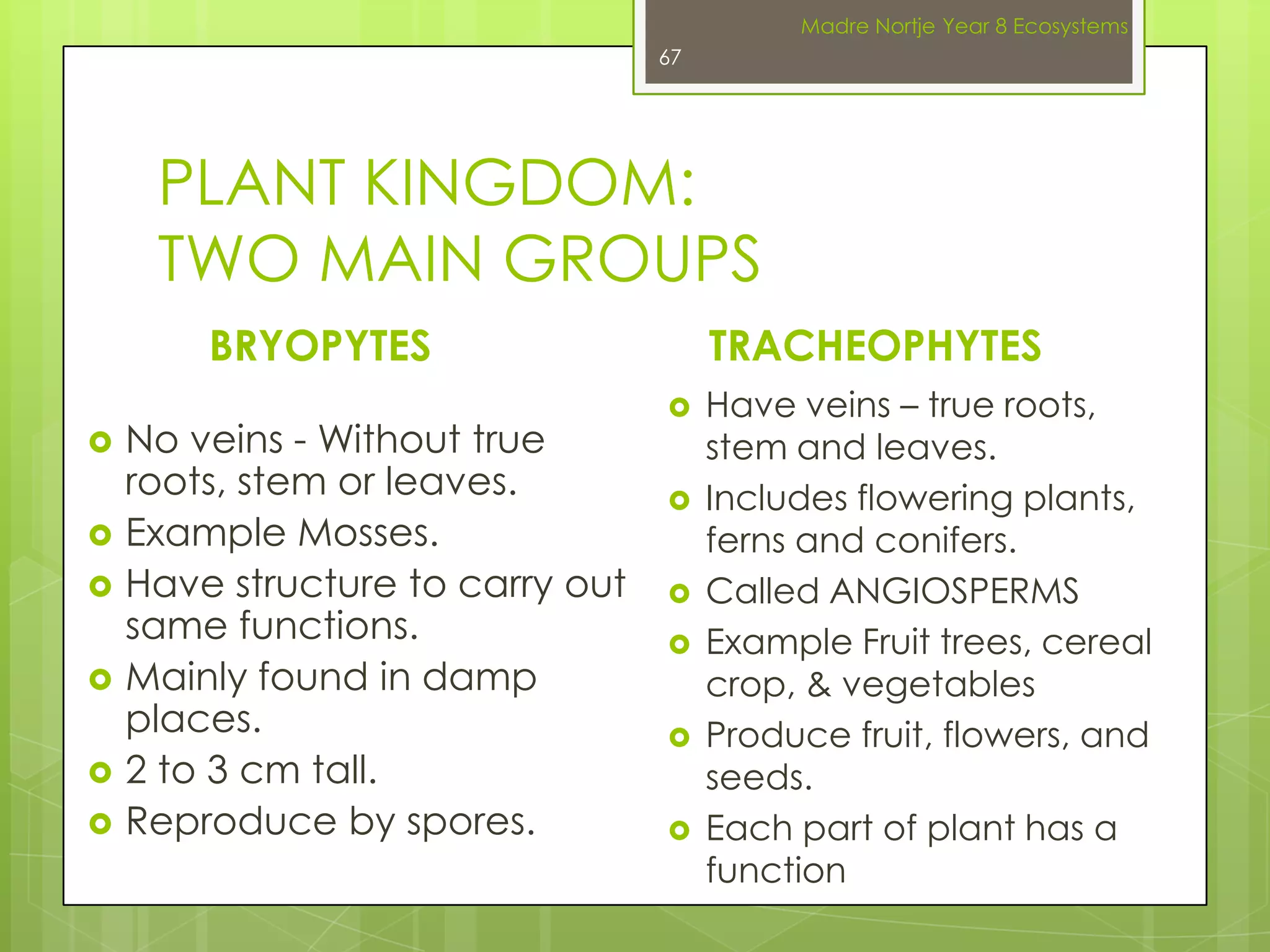 CLASSIFICATION OF HUMANS- Homo sapiensMadre Nortje Year 8 Ecosystems53www.aberdeenshire.gov.uk