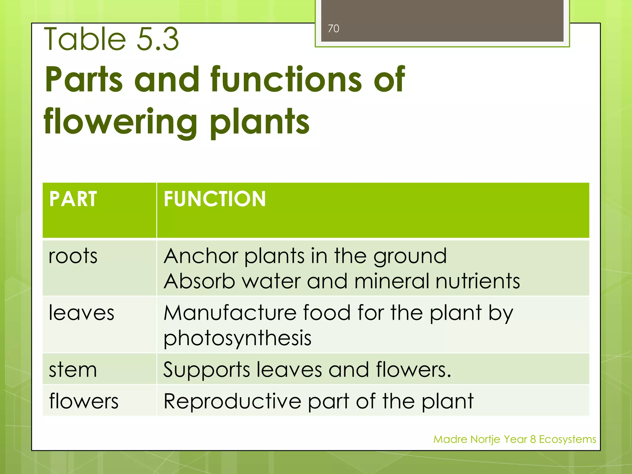 Making a keyObjects can be grouped, or classified, using a key. In a key there are usually two options for each characteristic. Dichotomous means divided into two parts, so such keys are called dichotomous keys.Sometimes keys are written as a chart and sometimes they are written as words.Madre Nortje Year 8 Ecosystems56