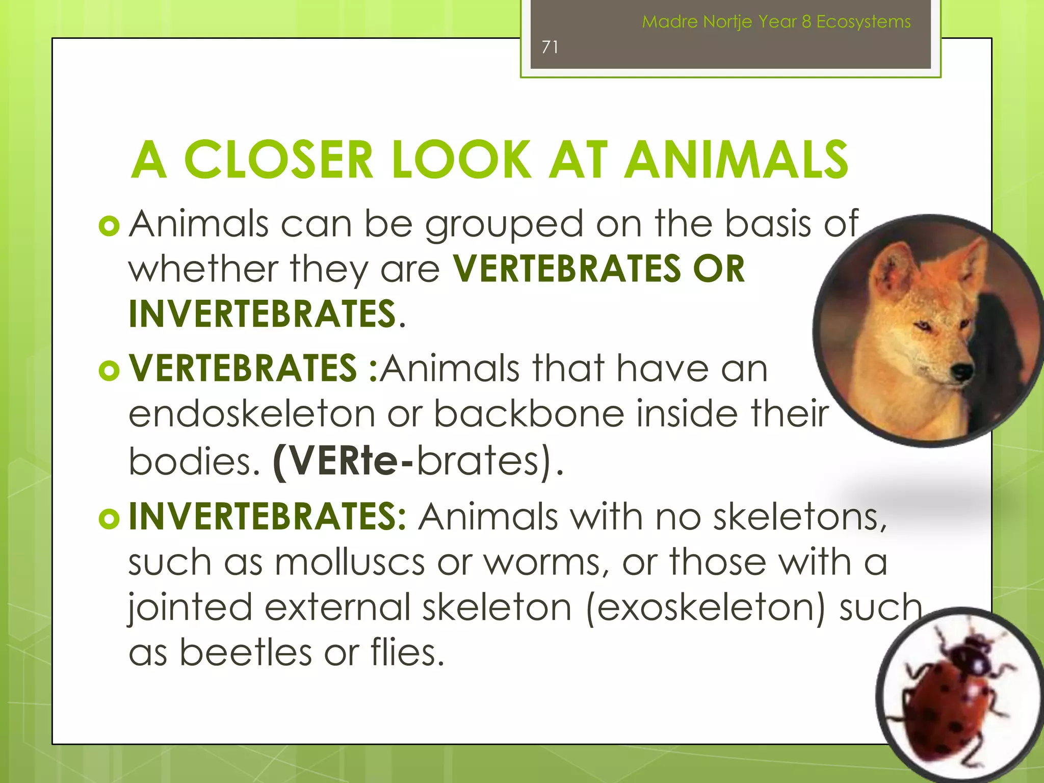 Keys - how to use itWatch interactive tutorial Chapter 5 Using KeysMadre Nortje Year 8 Ecosystems57