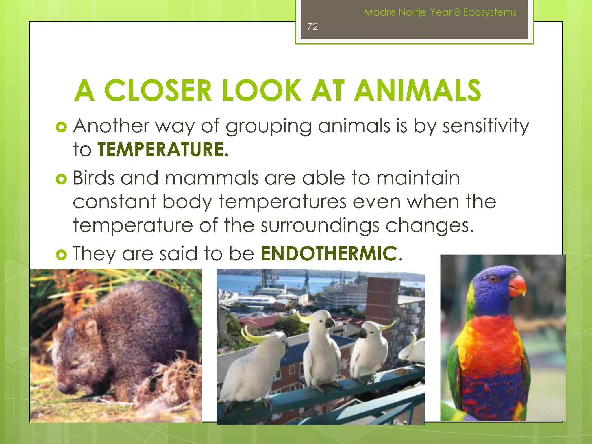 QUESTIONS 5.3 p 141ManualMadre Nortje Year 8 Ecosystems58Learning is the Key to success!