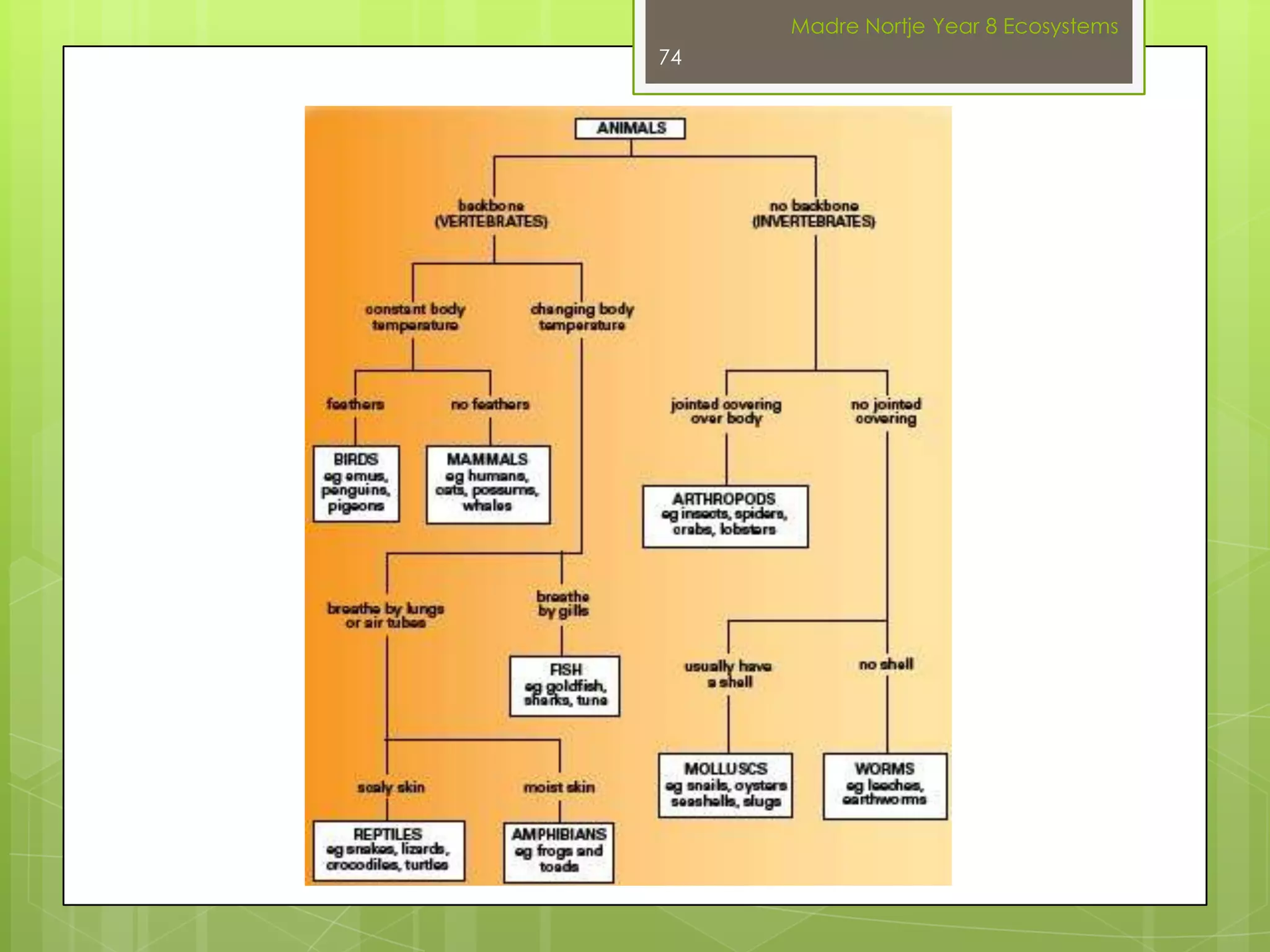 OBTAINING AND USING FOODCELLULAR RESPIRATIONWhy do animals need to be able to move?Animals cannot make their own food, so they need to be able to move around to find other animals or plants to eat.Plants make their own food by photosynthesis. They do not need to move around to find the raw materials. However, because sunlight is required, plants can only photosynthesise in the daytime. The sugars that are formed during photosynthesis maybe stored in a plant in the form of starch.Madre Nortje Year 8 Ecosystems60