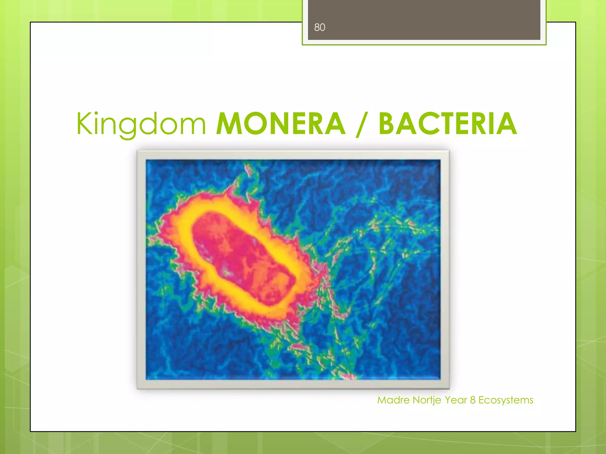 LET’S LOOK AT PLANTSTo classify plants, taxonomists look at their structure and how they reproduce.Using this information they have worked out the following key. A CLASSIFICATION key can be used to sort the plant kingdom into smaller groups with similar characteristics.Madre Nortje Year 8 Ecosystems66