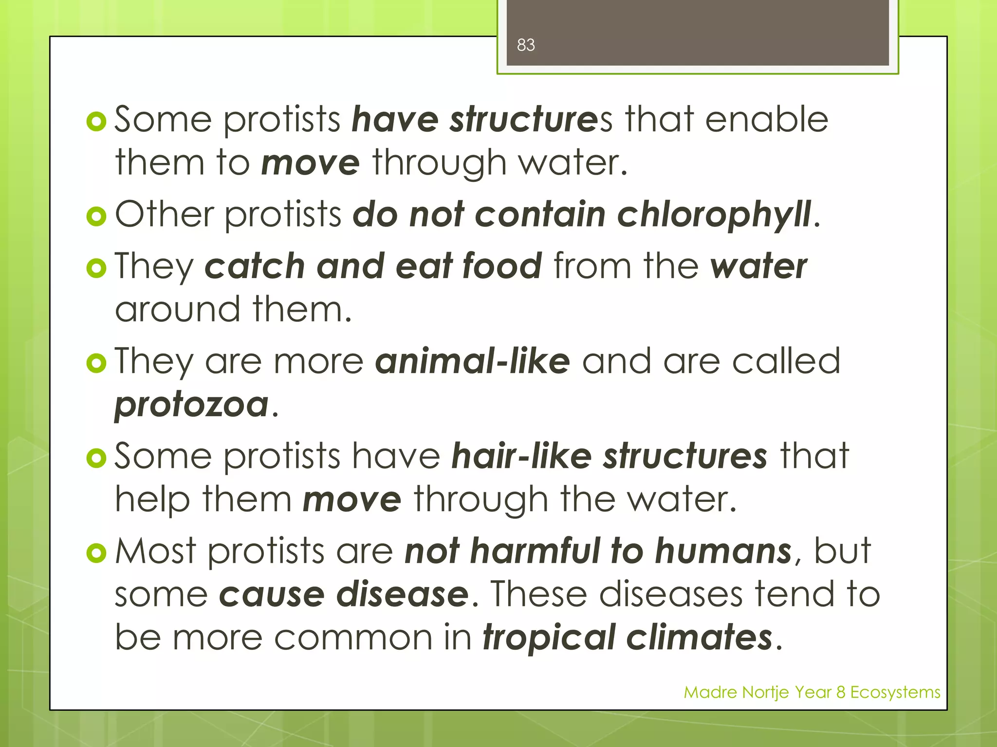 Madre Nortje Year 8 Ecosystems1.Cones of Conifer2. Fern3. Mosses 69