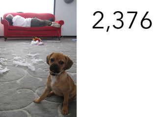 The most interesting/beautiful photo
Share…..
 