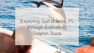 Exploring Gulf Breeze, FL
through Enthralling
Dolphin Tours
 