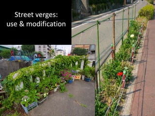 Street verges:
use & modification
 