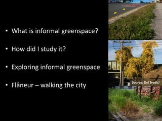 • What is informal greenspace?

• How did I study it?

• Exploring informal greenspace

• Flâneur – walking the city
     ...