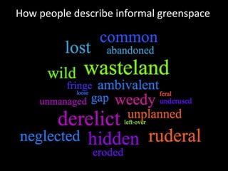How people describe informal greenspace
 