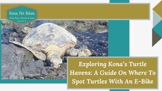 Exploring Kona’s Turtle
Havens: A Guide On Where To
Spot Turtles With An E-Bike
 