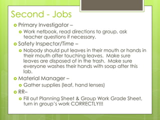 Second - Jobs
 Primary Investigator –
 Work netbook, read directions to group, ask
teacher questions if necessary.
 Safety Inspector/Time –
 Nobody should put leaves in their mouth or hands in
their mouth after touching leaves. Make sure
leaves are disposed of in the trash. Make sure
everyone washes their hands with soap after this
lab.
 Material Manager –
 Gather supplies (leaf, hand lenses)
 RR–
 Fill out Planning Sheet & Group Work Grade Sheet,
turn in group’s work CORRECTLY!!!
 