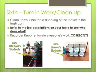 Sixth – Turn in Work/Clean Up
 Clean up your lab table disposing of the leaves in the
trash can.
 Refer to the job descriptions on your table to see who
does what!
 Recorder Reporter turn in everyone’s work CORRECTLY!
 