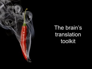 Divider slide
The brain’s
translation
toolkit
 