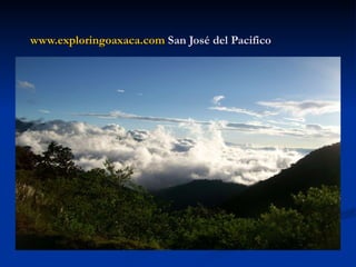 www.exploringoaxaca.com  San José del Pacifico 