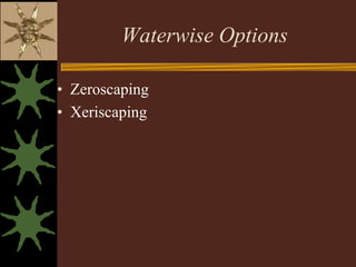 Waterwise Options

• Zeroscaping
• Xeriscaping
 