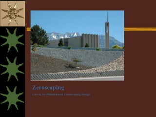 Zeroscaping
Low to No Maintenance Landscaping Design
 