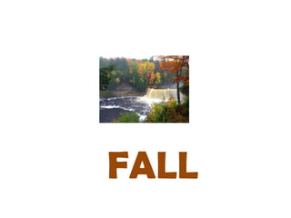 FALL
 