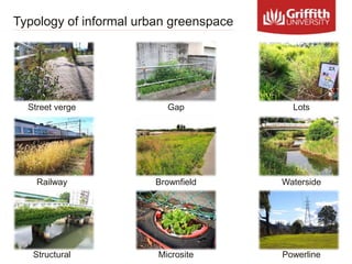 Typology of informal urban greenspace
Street verge Gap
Railway Brownfield Waterside
Lots
Structural Microsite Powerline
 
