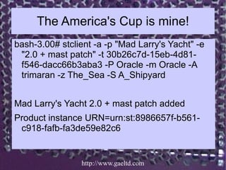 The America's Cup is mine!
bash-3.00# stclient -a -p "Mad Larry's Yacht" -e
 "2.0 + mast patch" -t 30b26c7d-15eb-4d81-
 f5...
