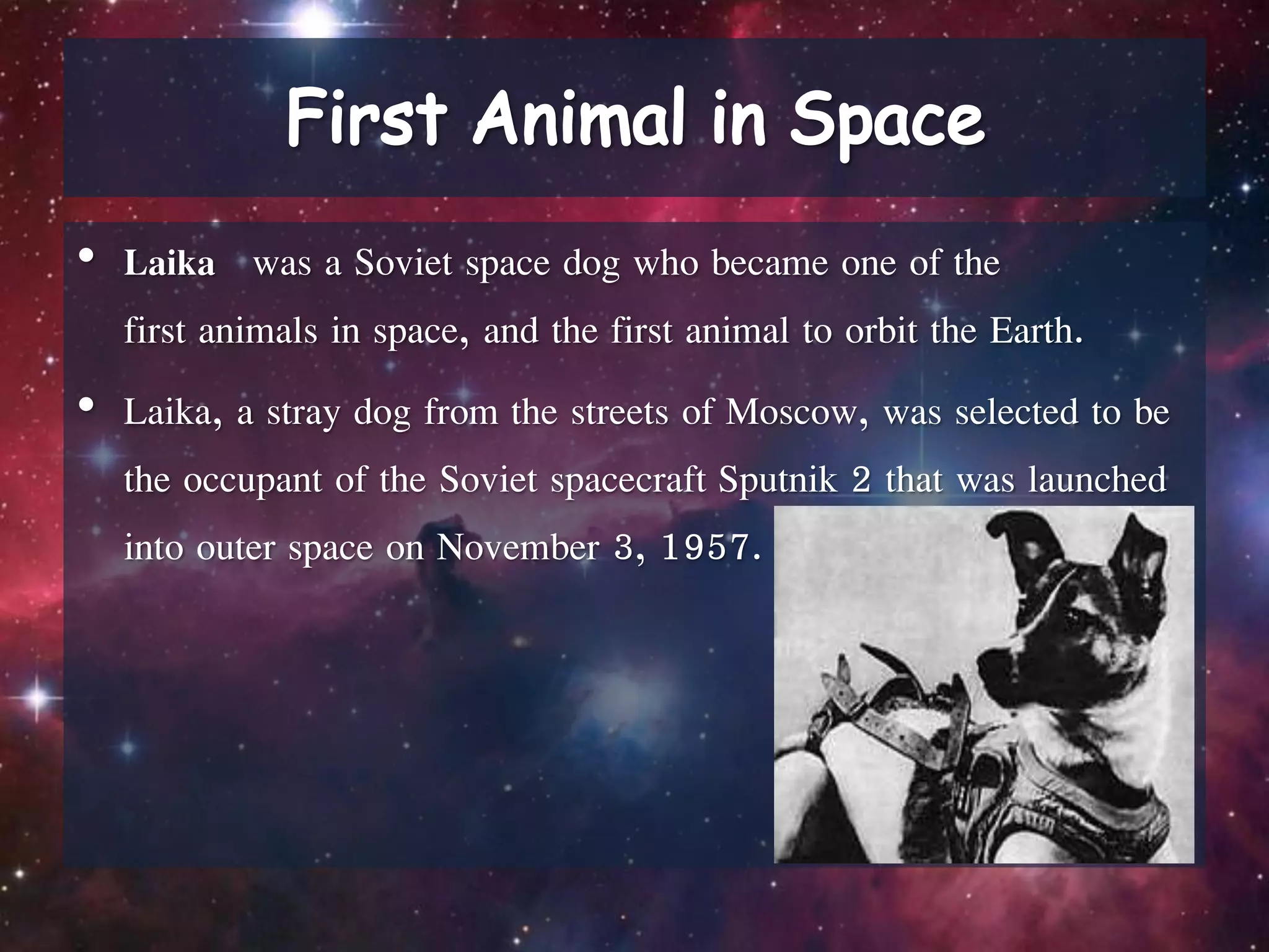 • Laika was a Soviet space dog who became one of the
first animals in space, and the first animal to orbit the Earth.
• Laika, a stray dog from the streets of Moscow, was selected to be
the occupant of the Soviet spacecraft Sputnik 2 that was launched
into outer space on November 3, 1957.
 