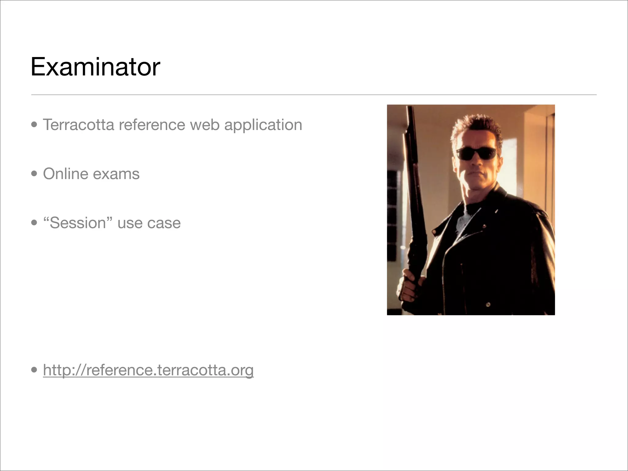 Exploring Terracotta