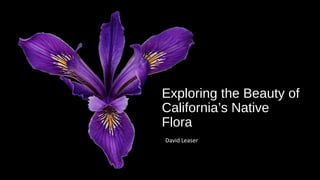 David Leaser
Exploring the Beauty of
California’s Native
Flora
 