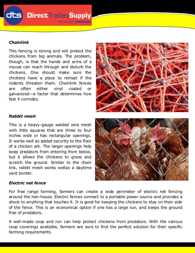 Exploring the Different Mesh Options for Chicken Coops