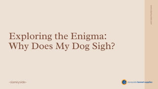 Exploring the Enigma:
Why Does My Dog Sigh?
-slaneyside-
www.slaneyside.com
 