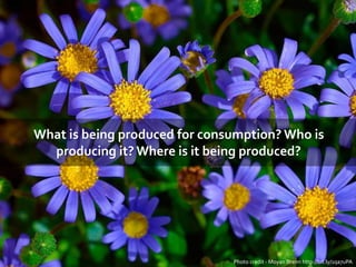 What is being produced for consumption? Who is
producing it? Where is it being produced?
Photo credit - Moyan Brenn http:/...
